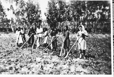 famiglia-casadei-al-lavoro-111